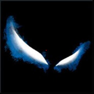 valeevd781 avatar