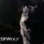 Wolf ®