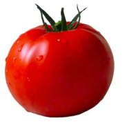 能不能不能吃夜宵