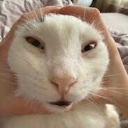 「ĐØĐ€₱」| Wertich-