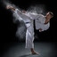 KARATE KID