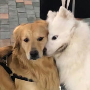 泪水湿了比奇堡发誓再