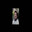 Borg's Avatar