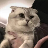 小枪一马没有身法