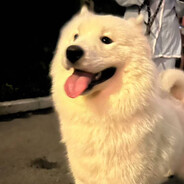 宇宙无敌可爱多