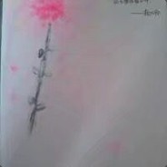 f**king Australia pig