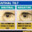 Negative Canthal Tilt