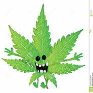 śmieszny-marihuana-liść-