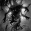 Black._.Ghost