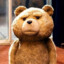 el oso TED