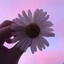 RoL_2