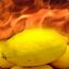 combustible lemon