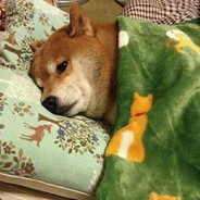 贼好看的变态小哥哥