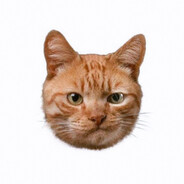 职业选手吕郑豪