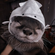 Avezz <3 Otters Steam avatar