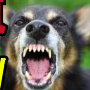 【屌小早洩不負責任的男人】㊣ 瘋狗