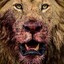 Lion_Hungry