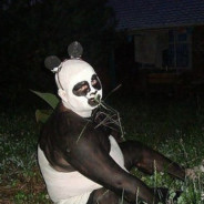 Белла Лимончелло avatar
