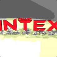 add Intex_4