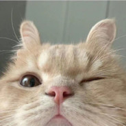 八酱不是八种酱