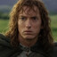 Frodinem