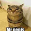 mr!penis