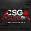 CSGOPOLYGON.COM SYSTEM