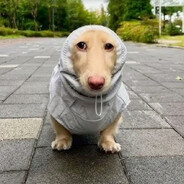 TheGumdropBoy