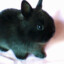 testing