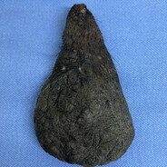 JALYNTOMAEI