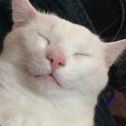Simsey - steam id 76561197971003015