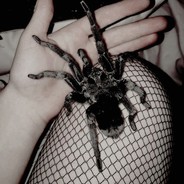 XO_XO