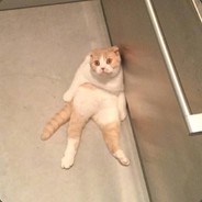 ？？？？？？？？？？