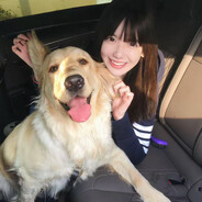 小馋猫烤肉拌饭