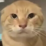 猴王