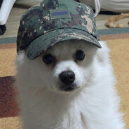 노래하는전달체