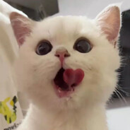 但我想跟你乱缠