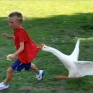 今天来我家好吗