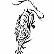 Wildcat