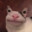 Ears Eyes Cat