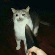 断线重连中Essence