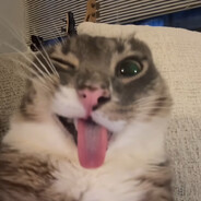 sektond