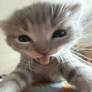 kiranelly