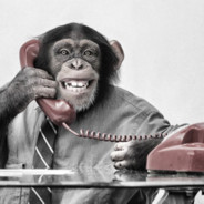 Monkey on da phone