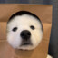 王多鱼