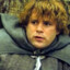 Samwise Gamgee