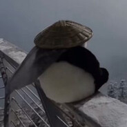 MONKAv2