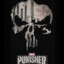 THE_PUNISHER