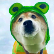 人活着就是要干B