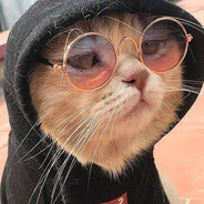 otter's avatar